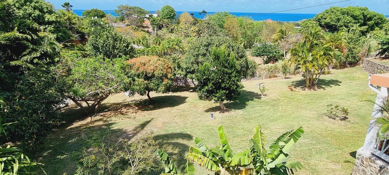 Les Hauts Du Cap Le François Eksteriør billede